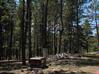 Lot 24 A & B Taos Pines Ranch